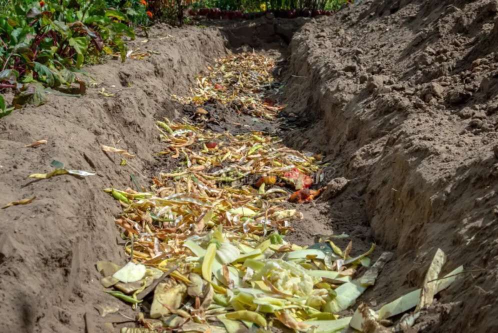 Compost pit dug into the ground for organic waste